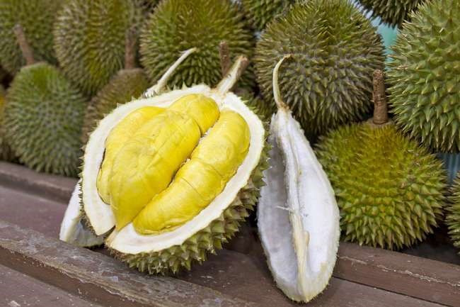 Manfaat durian